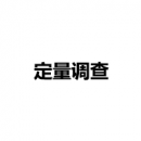 定量調(diào)查