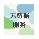 大數(shù)據(jù)服務(wù)