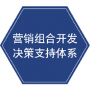營銷組合開發(fā)決策支持體系