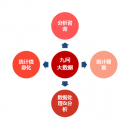 統(tǒng)計調查服務